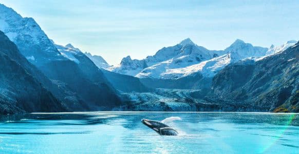 Glacier Bay 
